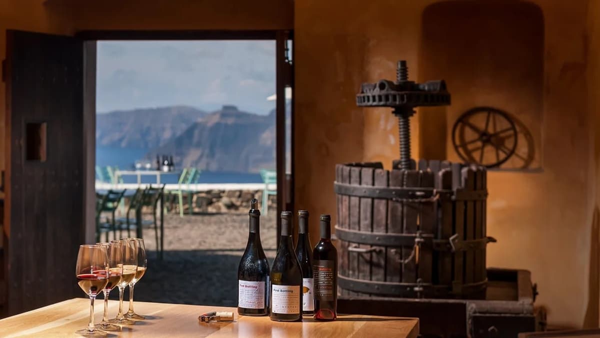Wine tasting tour at a Santorini winery with vineyard views